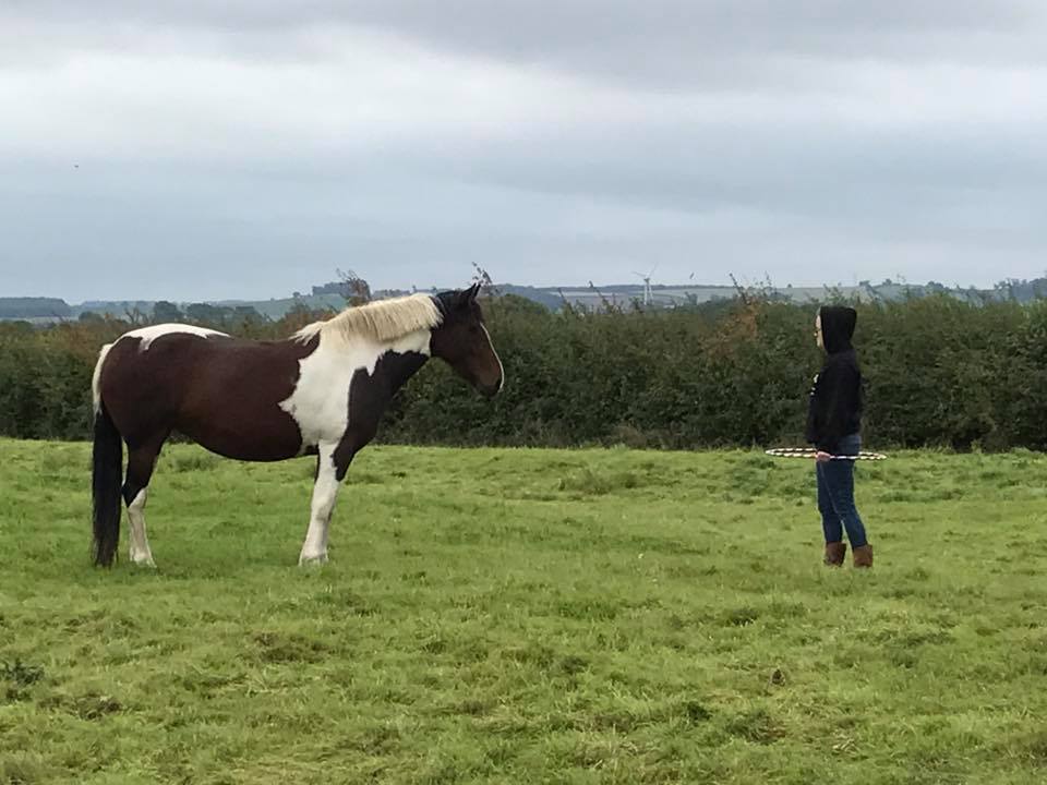 anxious teenager with horse