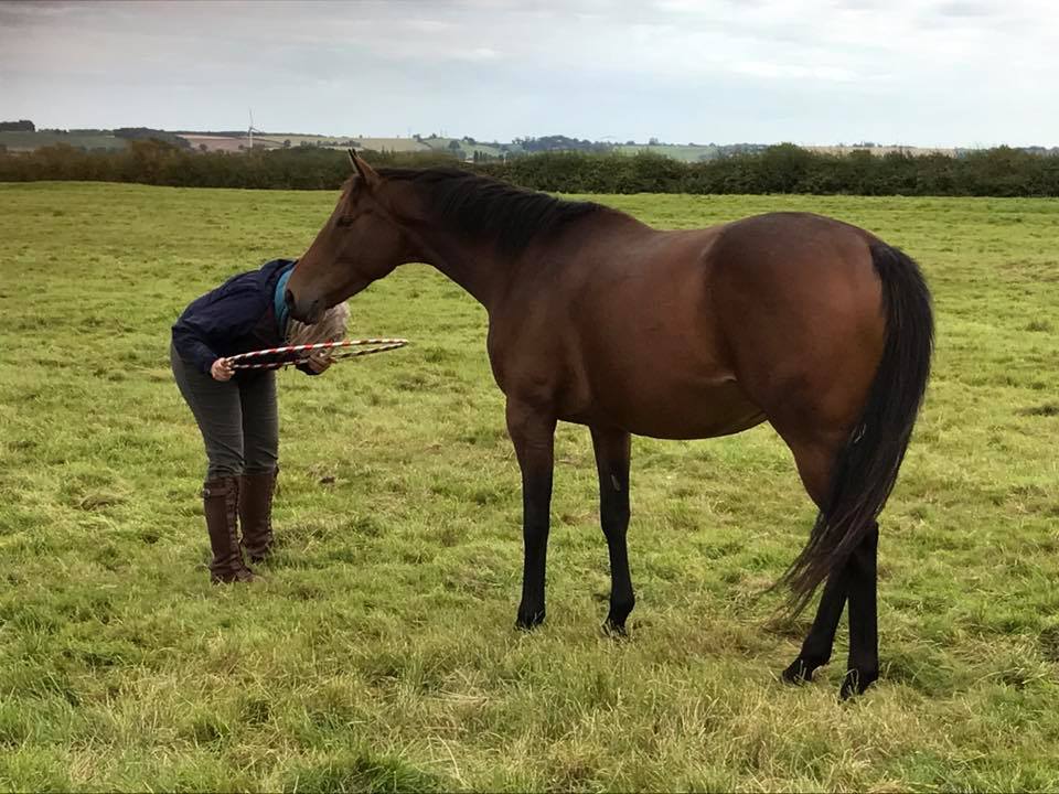 horse with adult client in equine assisted therapy session