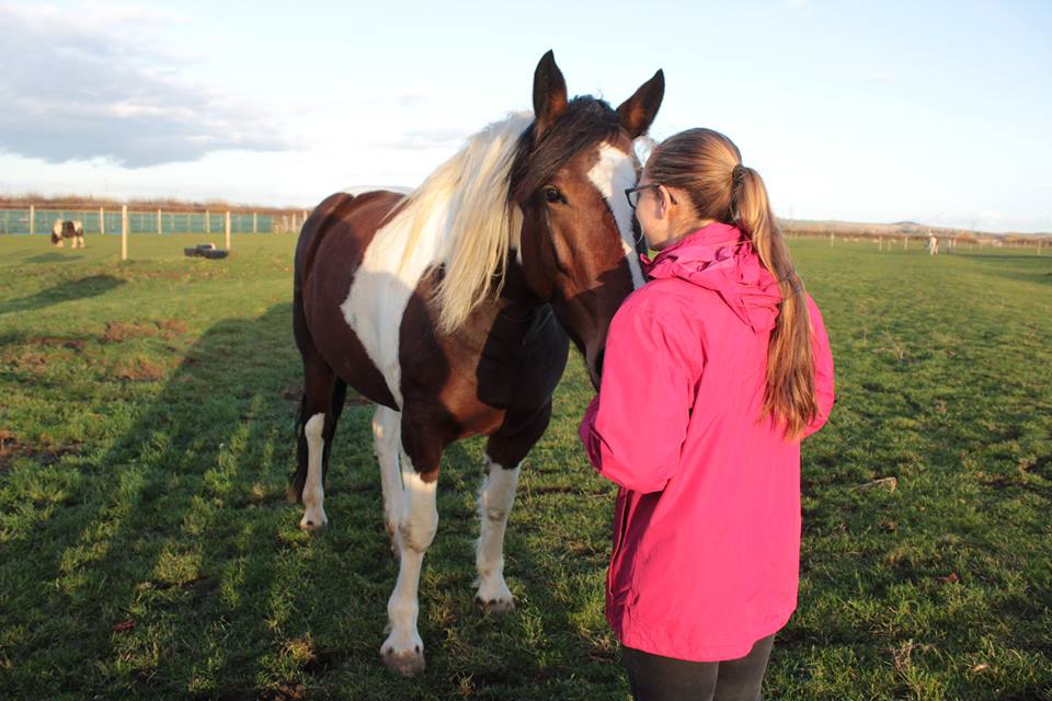 Equine Assisted Therapy