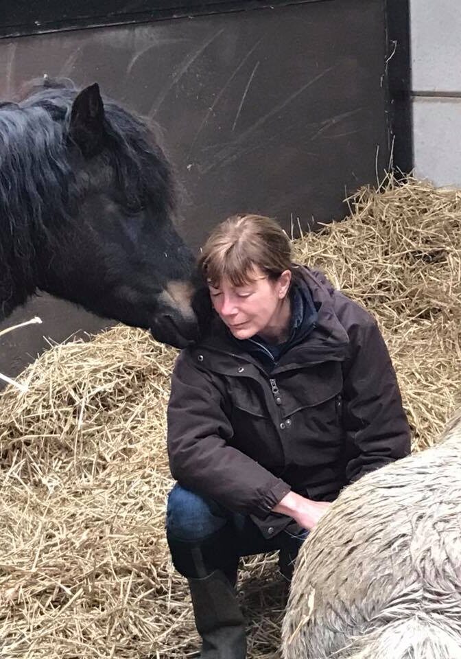 equine assisted therapy with adult client