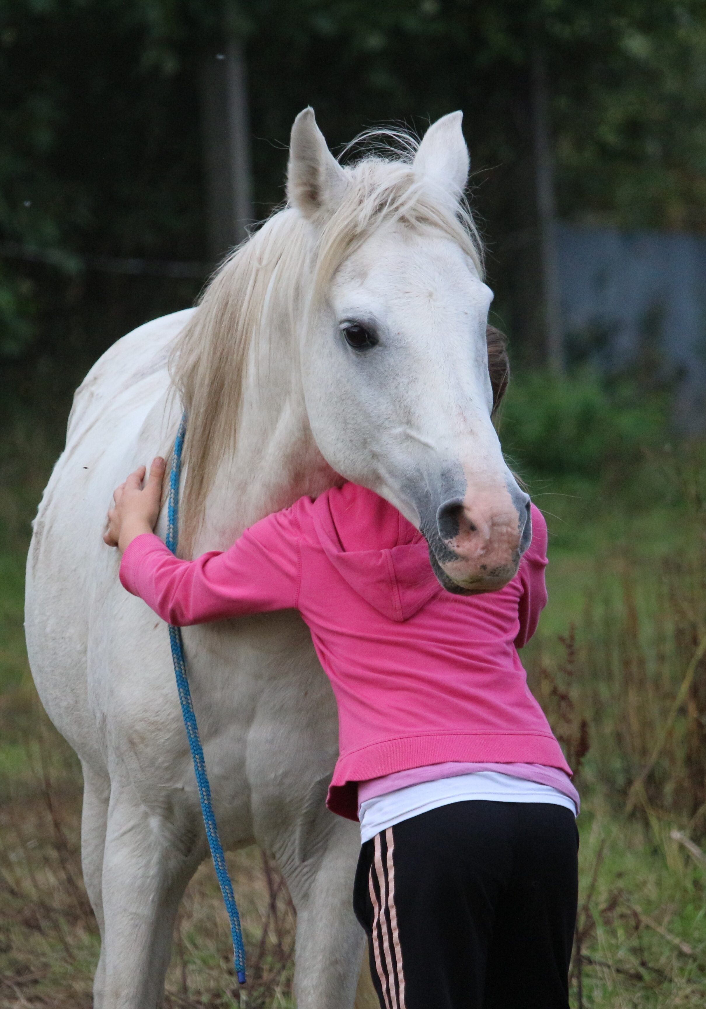 anxious child connected with horse